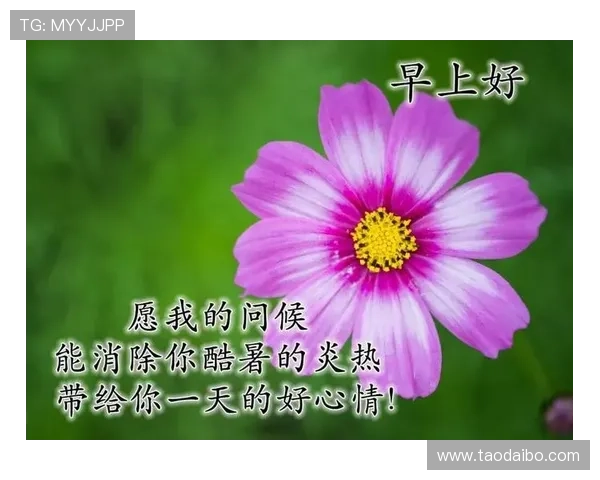 开运网站帮你聚财避凶，用科学的方法提升生活的好运气和幸福指数