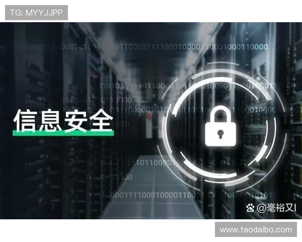 开云手机网址登录安全性分析，保障玩家账号信息安全的实用技巧